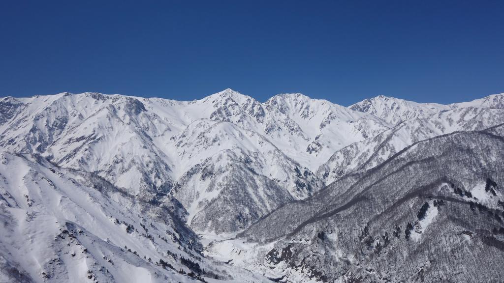 Phoenix Chalets By Hhg Hakuba Eksteriør billede